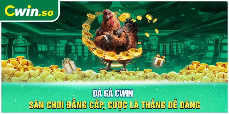 Đá Gà CWIN – Sân Chơi Đẳng Cấp, Cược Là Thắng Dễ Dàng