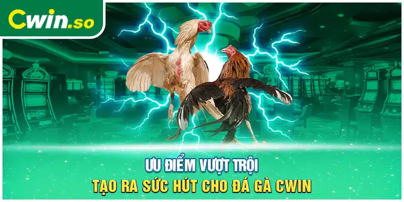 Ưu điểm vượt trội tạo ra sức hút cho đá gà CWIN